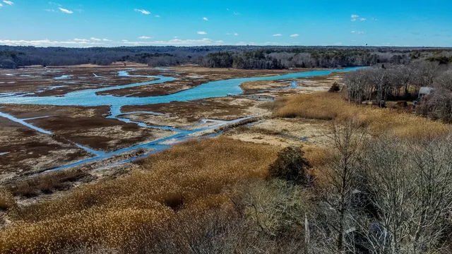 a view of dirt yard with a large tree