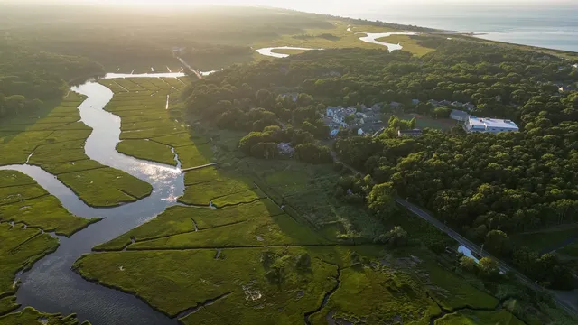 an aerial view of residential houses with outdoor space