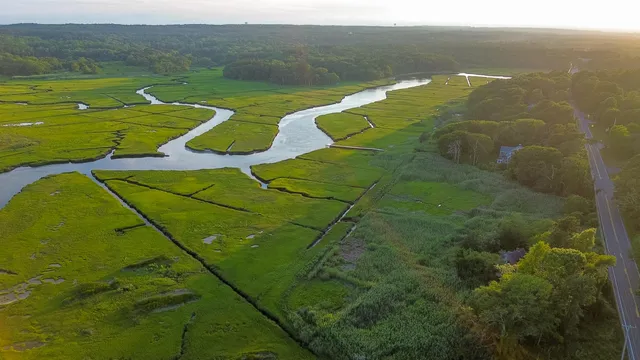 a view of a lake from a yard