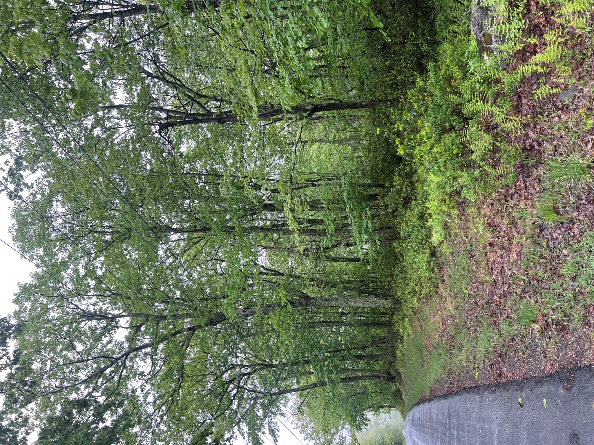 Budd Road Wurtsboro, NY 12790 - Photo 2 of 13 What might your vision be?