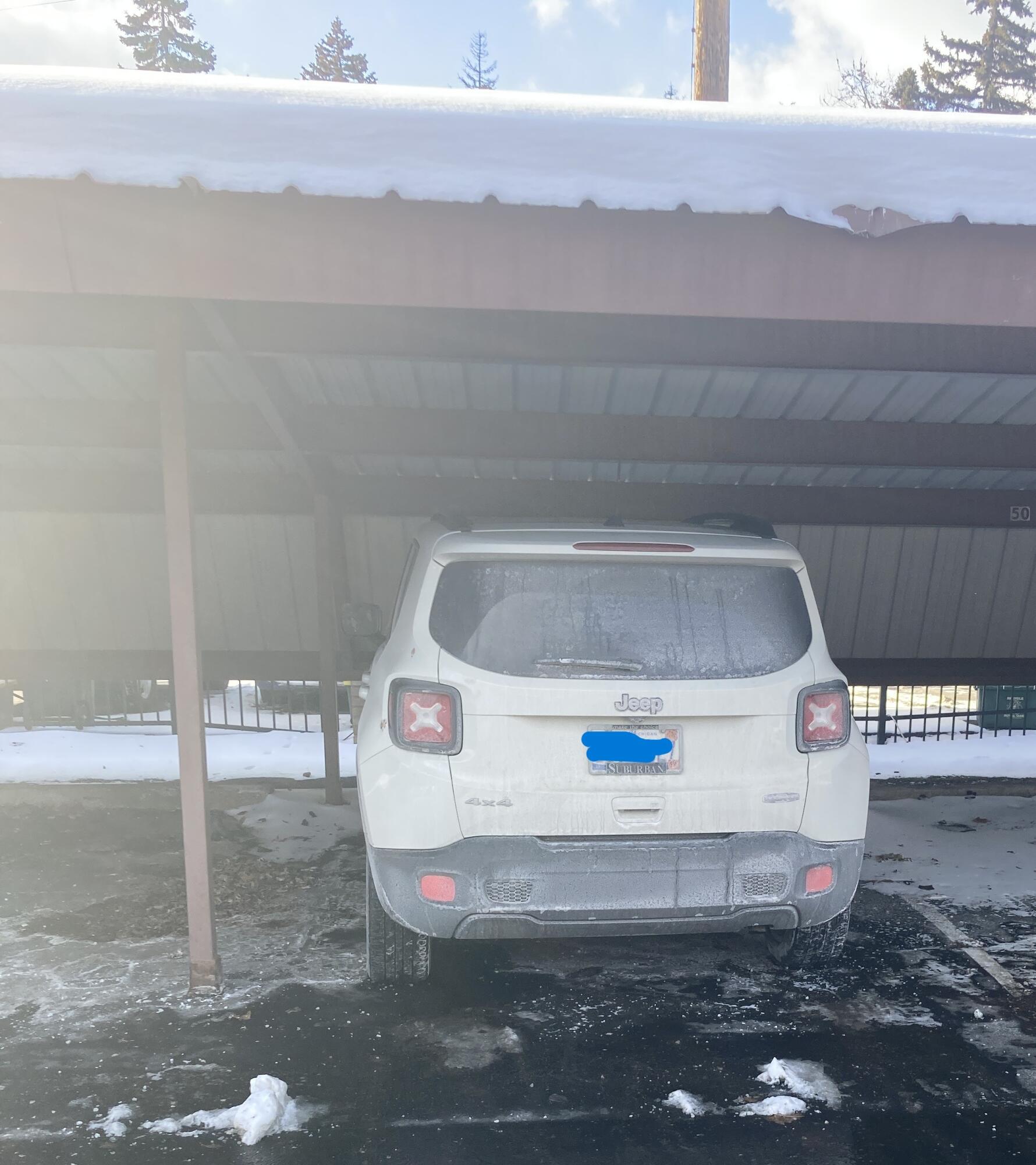 5065 Crooks Road, Unit 49 Royal Oak, MI 48073 - Photo 17 of 22 IMG_6366