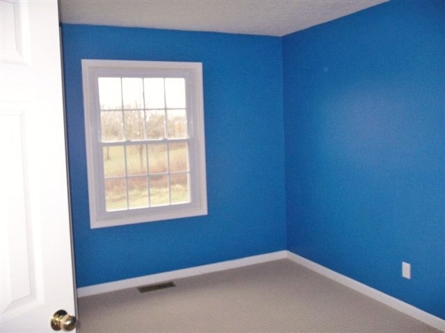 2925 Macedonia Road Adolphus, KY 42120 - Photo 5 of 10 Gallery Image 5