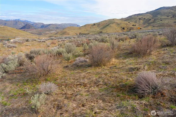 a view of a dry yard with mountains in the background