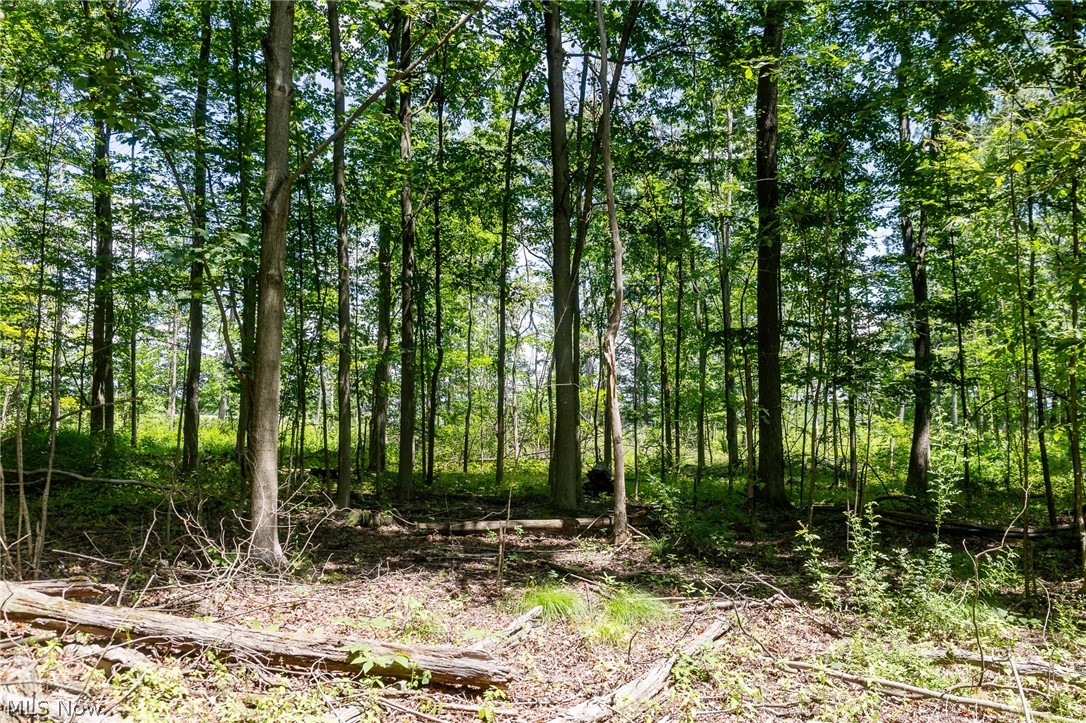 Wayland Road Diamond, OH 44412 - Photo 9 of 20