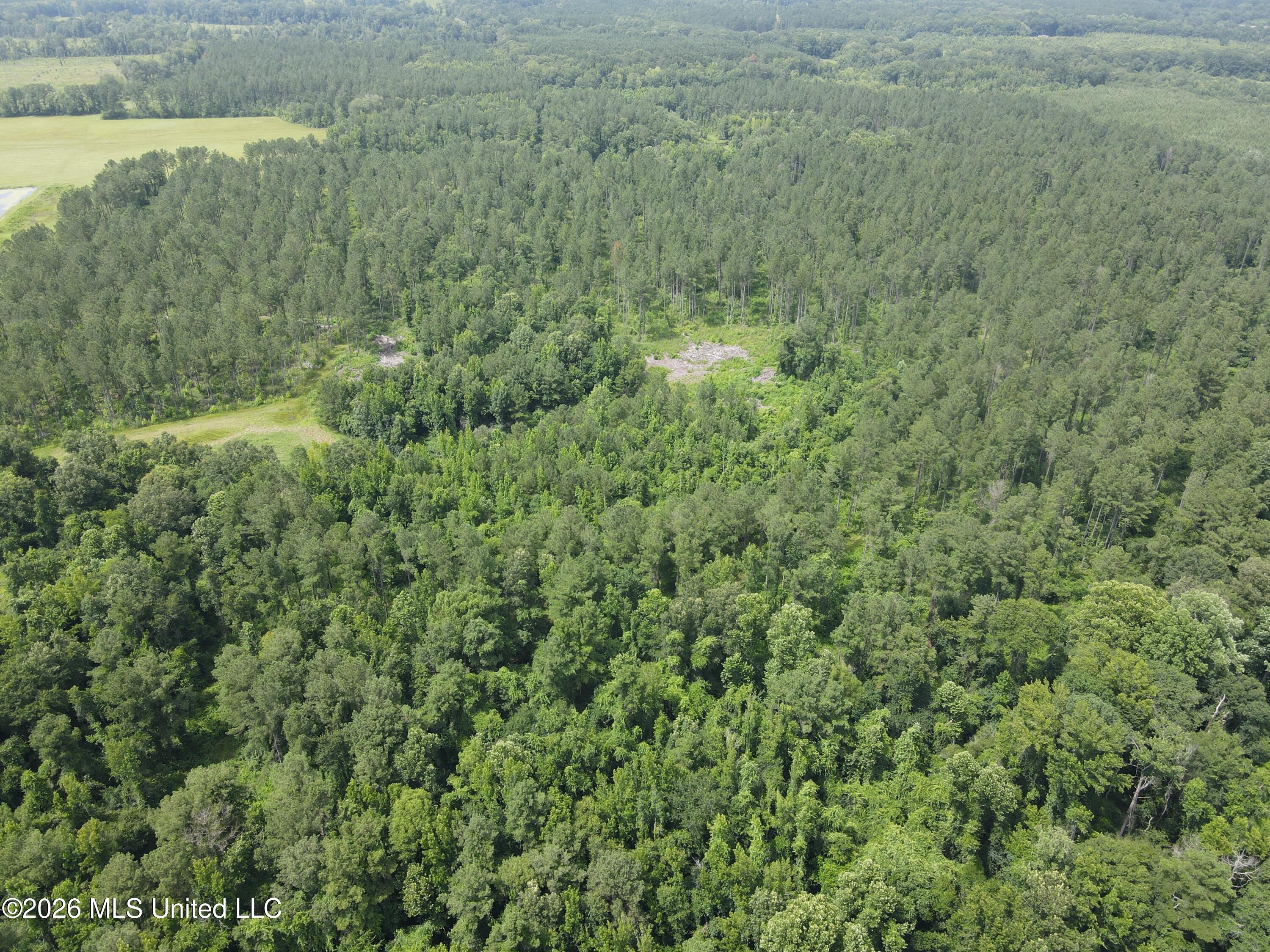 244 Foster Road Sontag, MS 39665 - Photo 82 of 105 35785