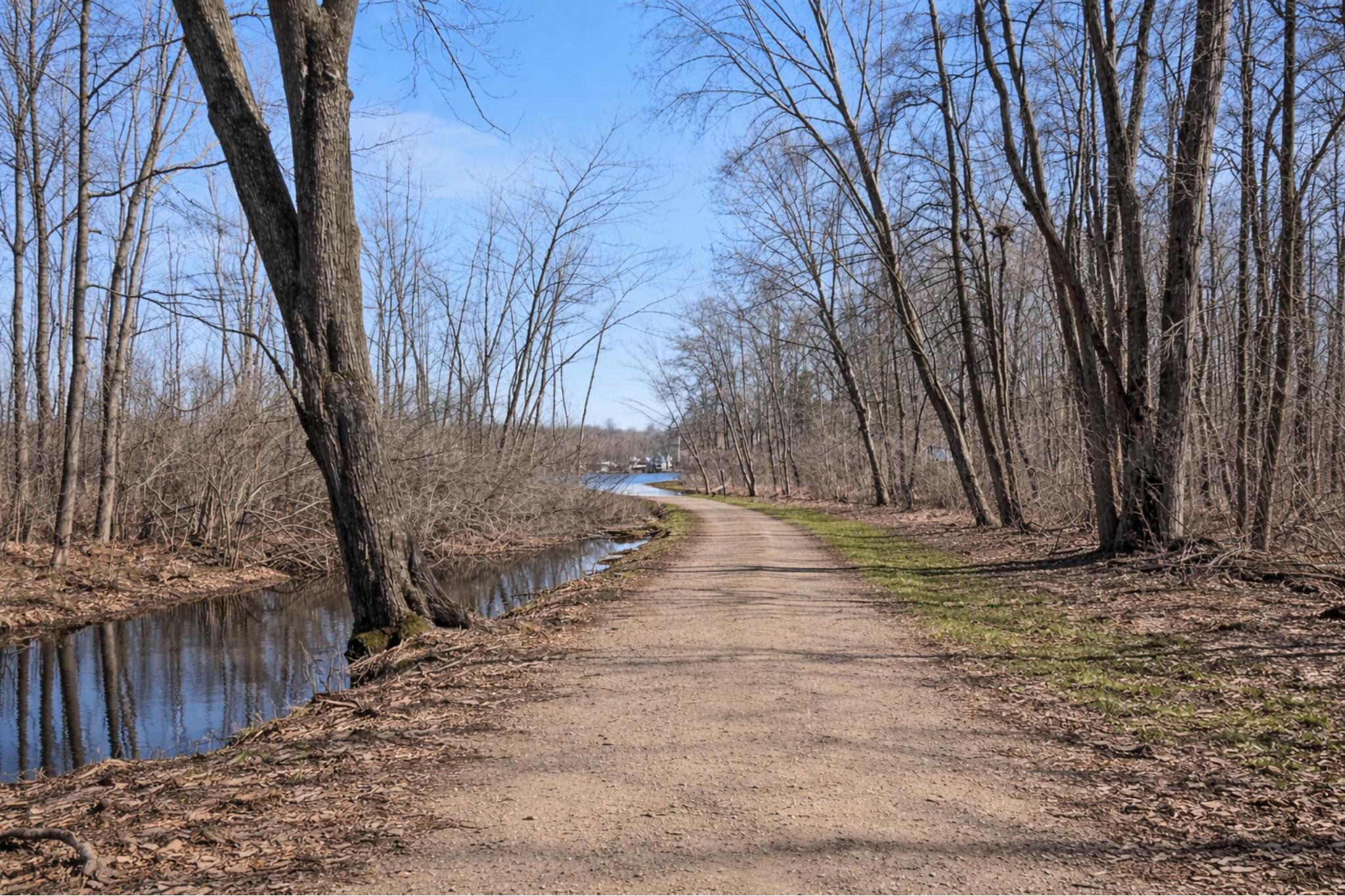 31730 Brandywine Road Gobles, MI 49055 - Photo 29 of 38 Path to Lake