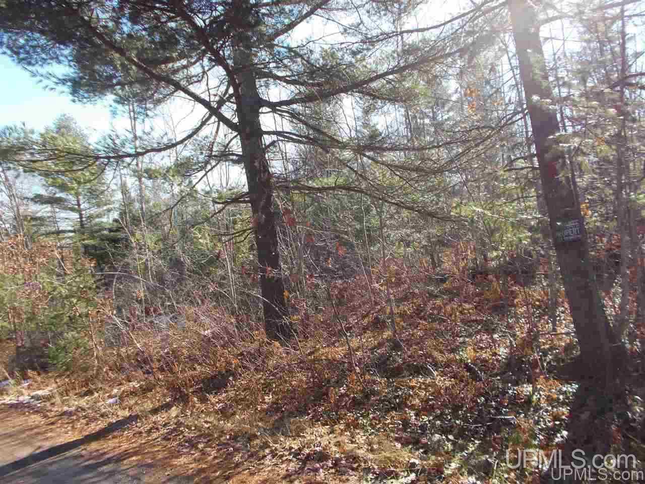 74-acres 74-acres Off Co Road Negaunee, MI 49866 - Photo 9 of 17
