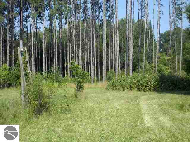 3198 East Rose City Road Lupton, MI 48635 - Photo 34 of 37 1757327-33.JPG