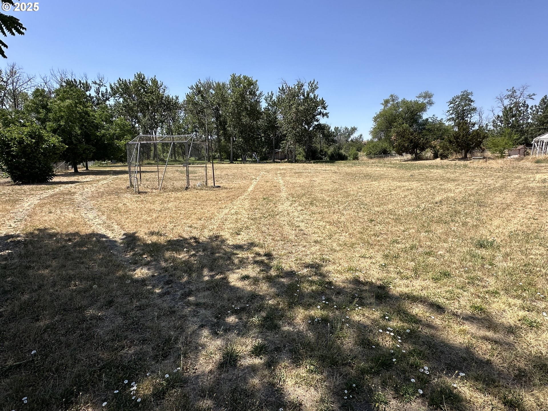 46576 Mission Road Pendleton, OR 97801 - Photo 26 of 31 a view of a field with trees in the background