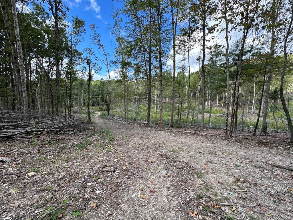 621 Point Pleasant Road, Unit 2 & 4 Bland, VA 24315 - Photo 19 of 44 Gallery Image 19