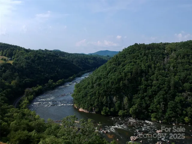a view of a city and lush green forest