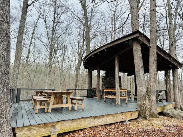 a view of a forest that has large trees