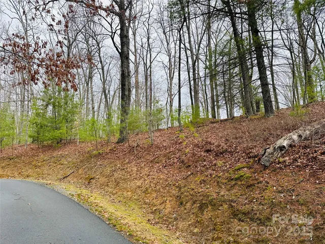 a view of a yard with plants and trees