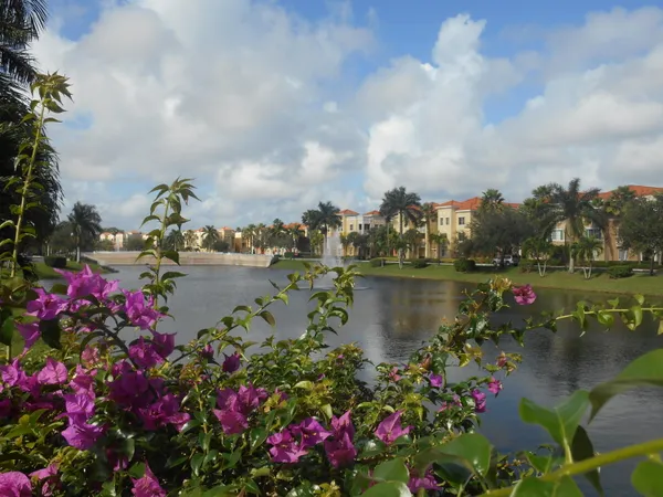 a view of a lake with a bench and lake view