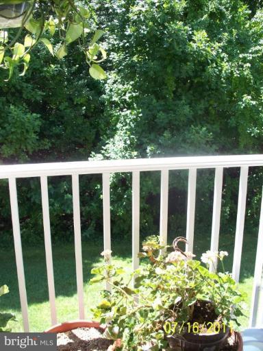 661 Deering Road, Unit 3G Pasadena, MD 21122 - Photo 3 of 12 View from Unit