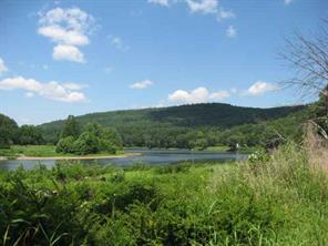 3.3 Crawford Road Narrowsburg, NY 12764 - Photo 1 of 1 Gallery Image 1
