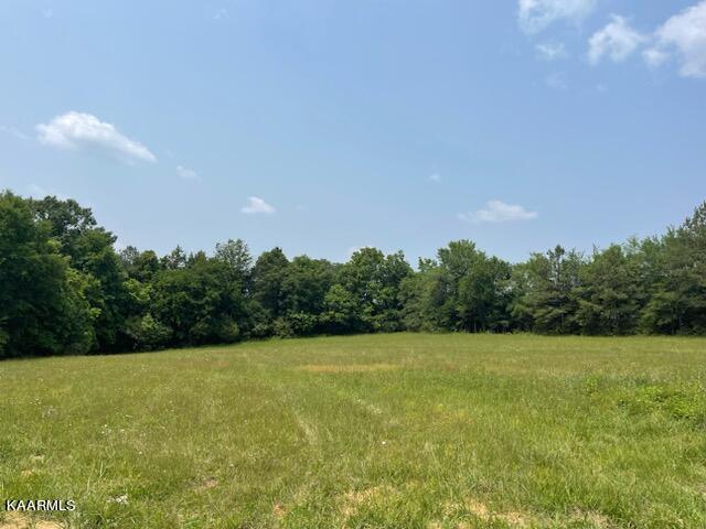 266 Buffalo Road Bybee, TN 37713 - Photo 11 of 13 IMG_7826