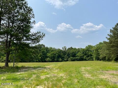 266 Buffalo Road Bybee, TN 37713 - Photo 7 of 13 IMG_7816