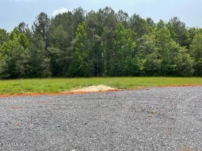 266 Buffalo Road Bybee, TN 37713 - Photo 8 of 13 IMG_7818