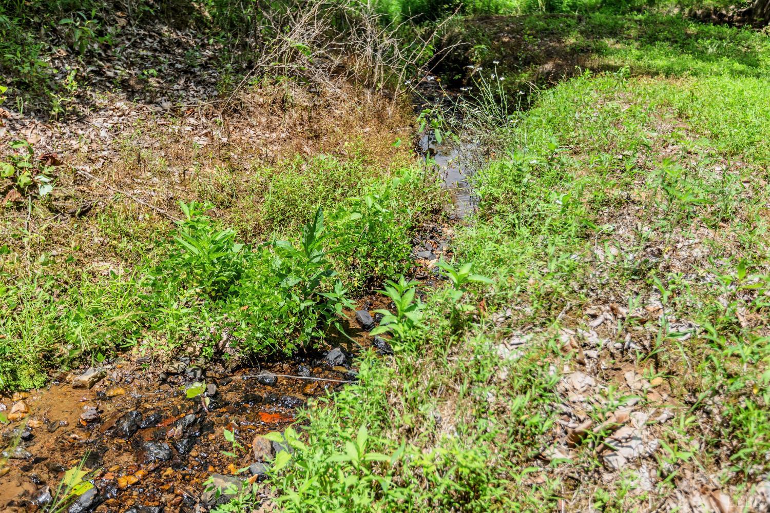 1370 Moonlight Road Appomattox, VA 24522 - Photo 89 of 99
