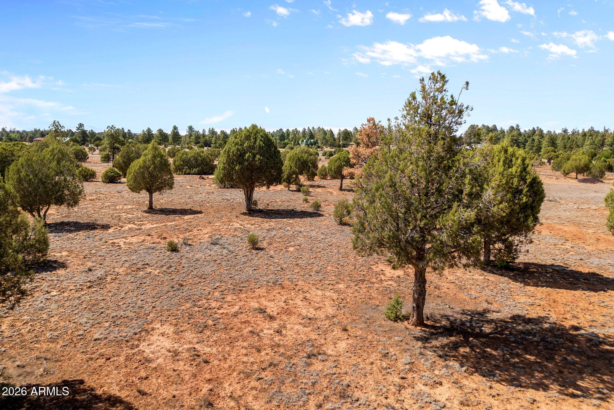3765 Saddle Bow Road Show Low, AZ 85901 - Photo 13 of 13 Parcel409-061-009-ShowLow-AZ-1