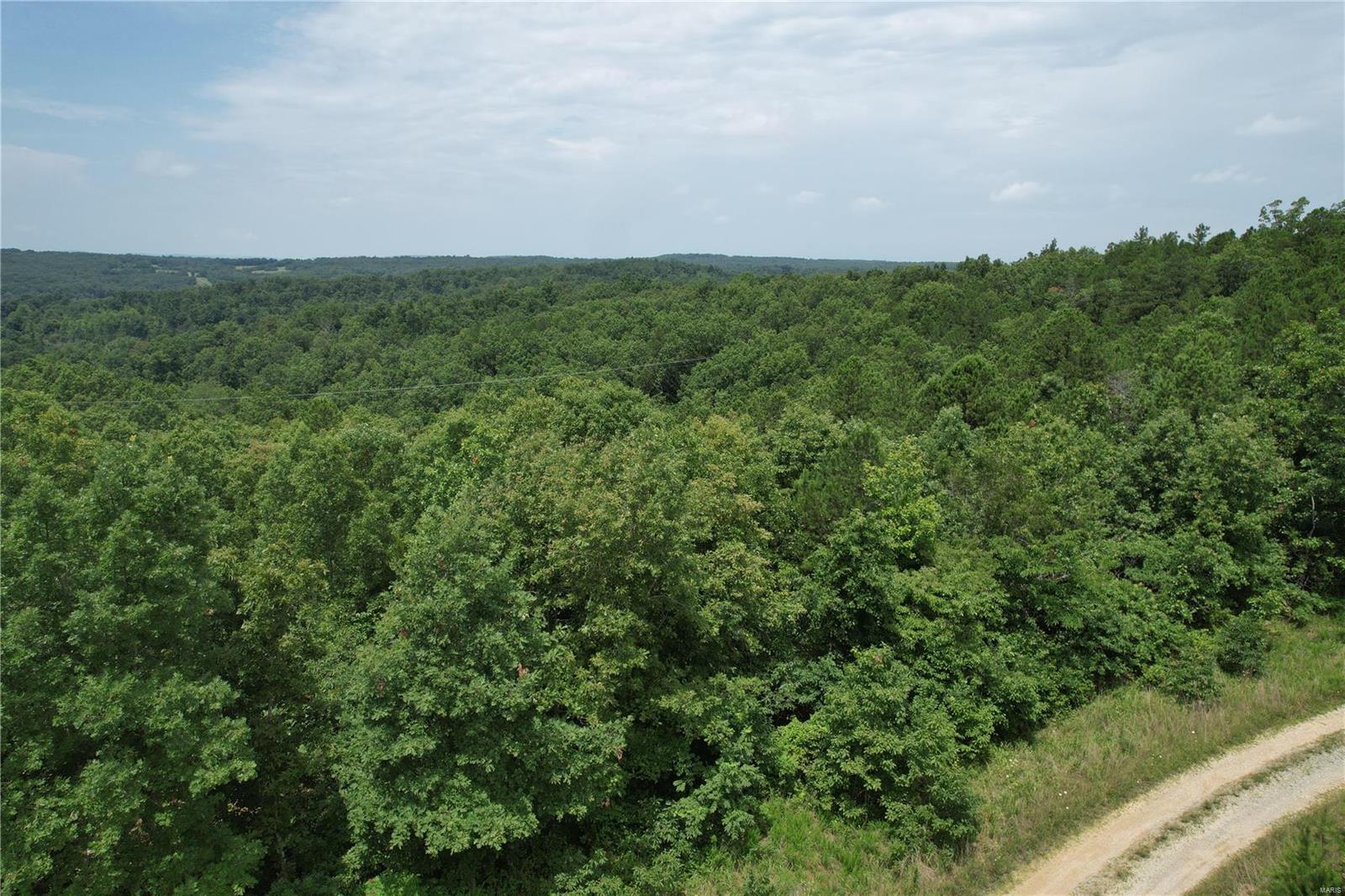 1127 Madison Street Fredericktown, MO 63645 - Photo 2 of 6