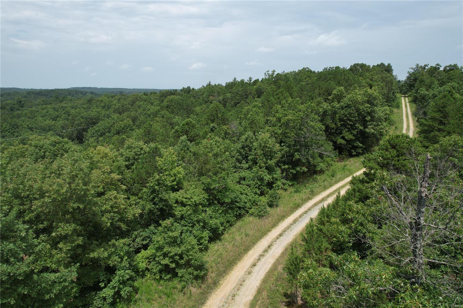 1127 Madison Street Fredericktown, MO 63645 - Photo 3 of 6