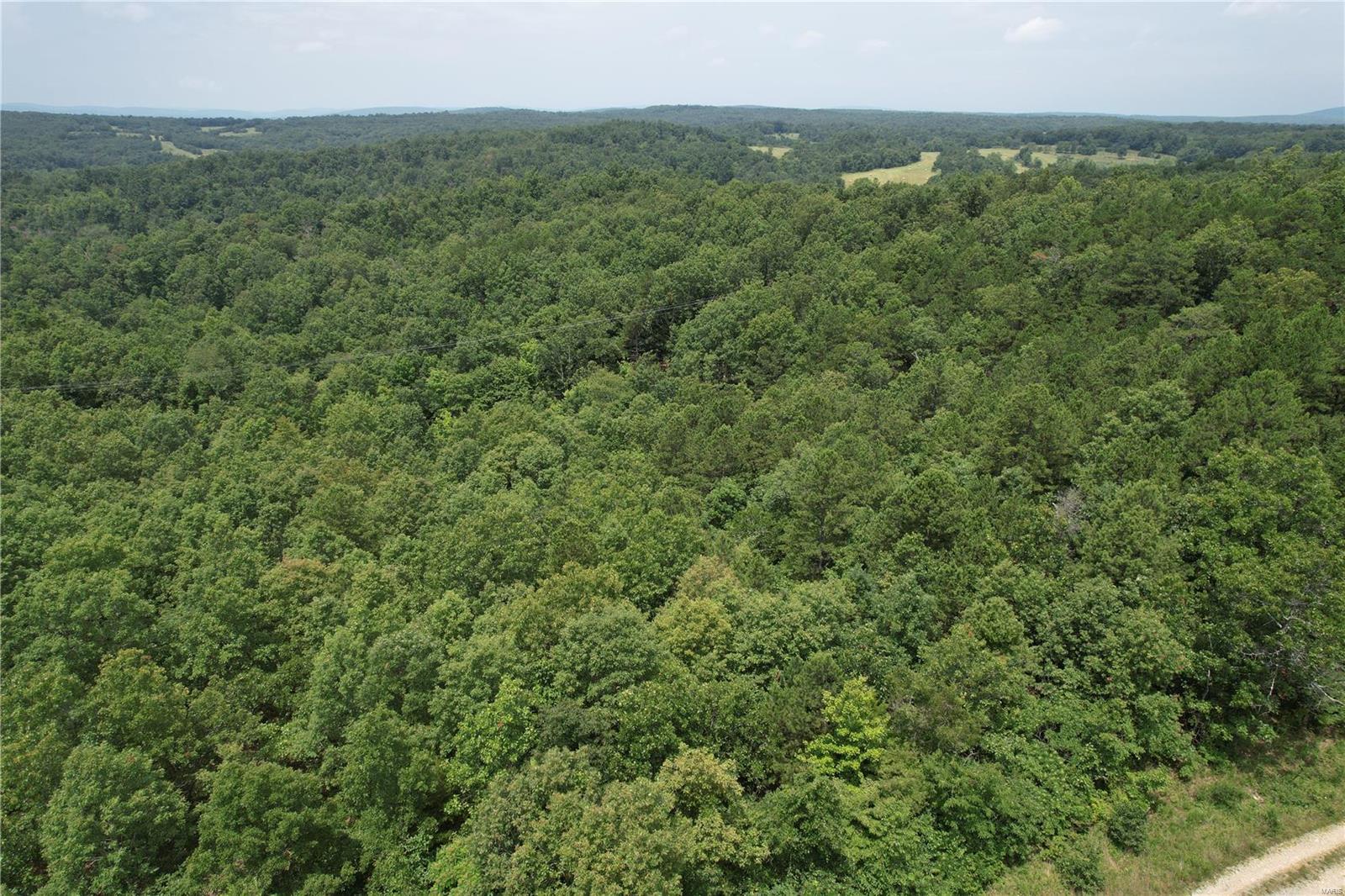 1127 Madison Street Fredericktown, MO 63645 - Photo 4 of 6