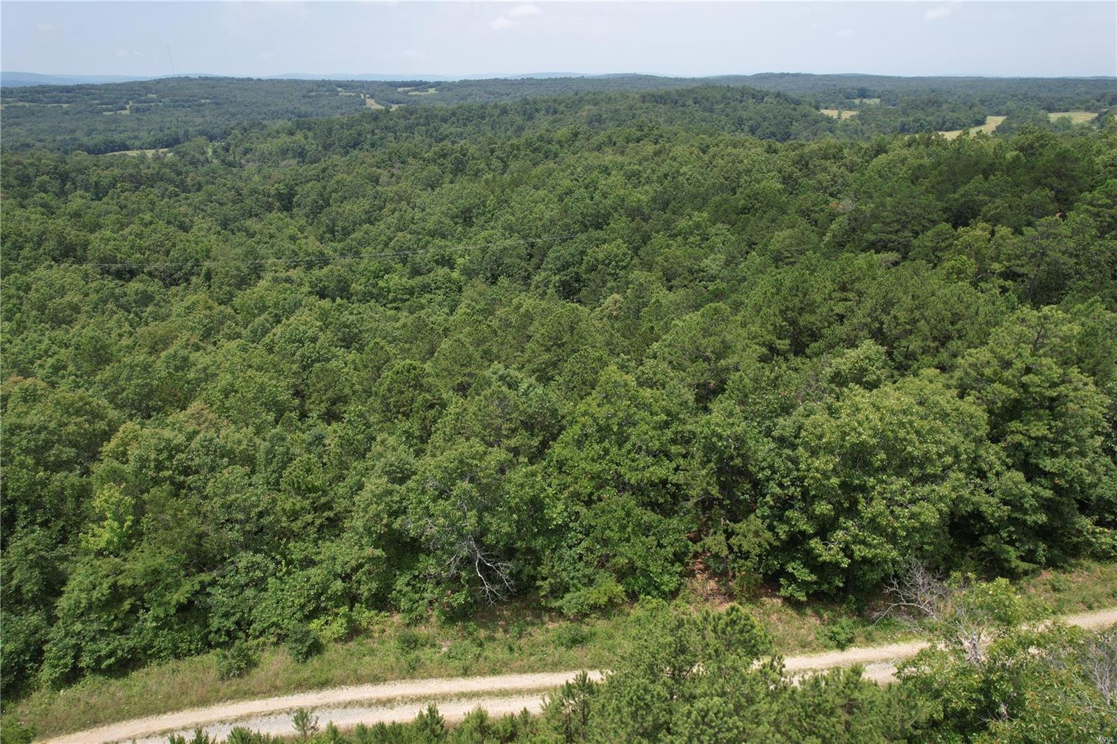 1127 Madison Street Fredericktown, MO 63645 - Photo 5 of 6