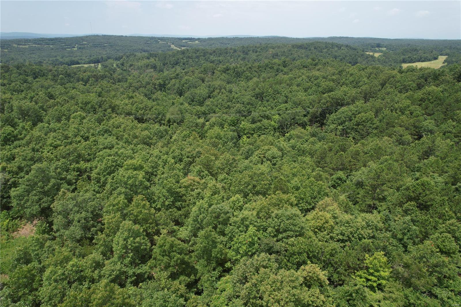 1127 Madison Street Fredericktown, MO 63645 - Photo 6 of 6