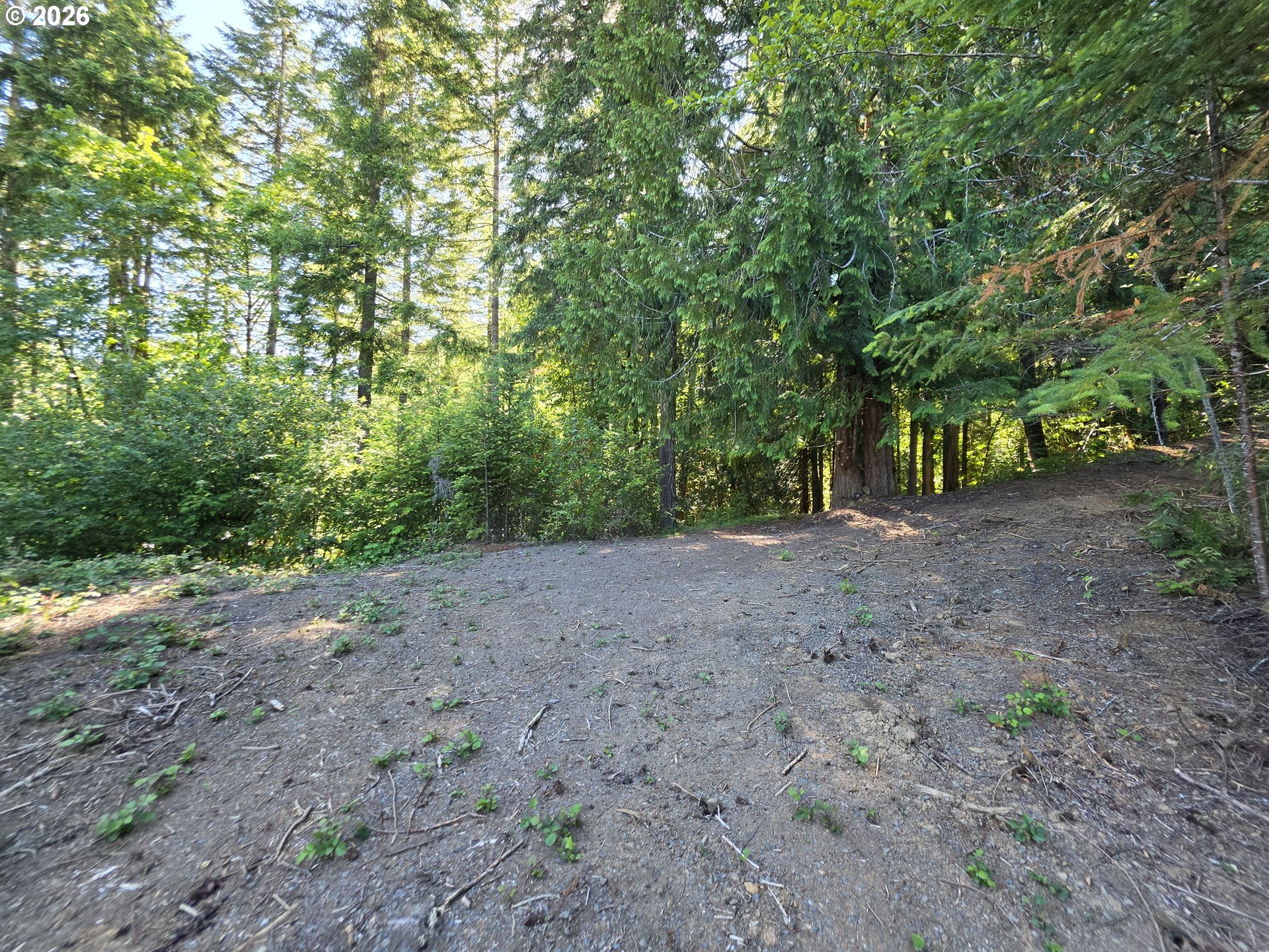 25797 Siuslaw Road Lorane, OR 97451 - Photo 8 of 14