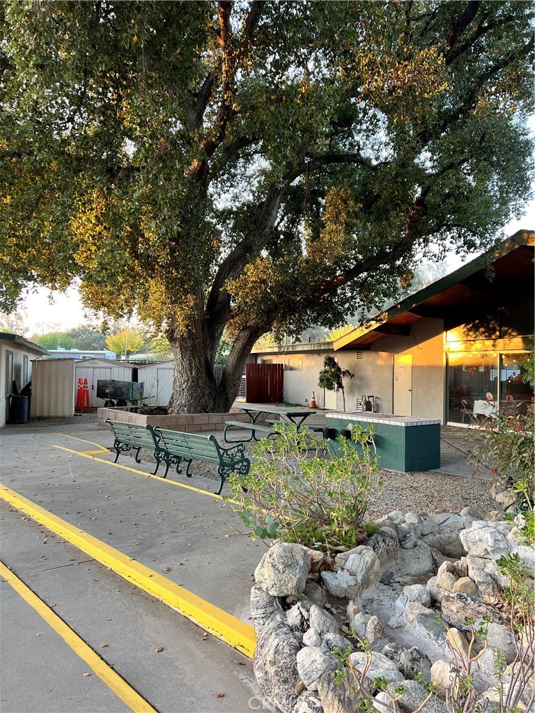 35080 Chandler Avenue, Unit 11 Calimesa, CA 92320 - Photo 18 of 20 a backyard of a house with yard and outdoor seating