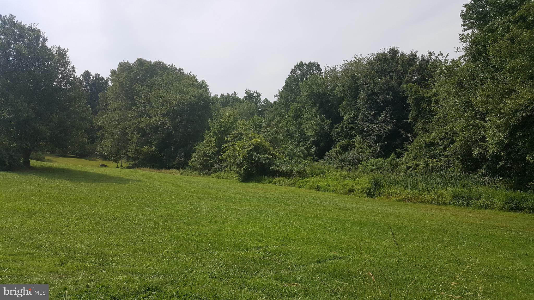 4418 Molsons Ridge Road Marshall, VA 20115 - Photo 2 of 3