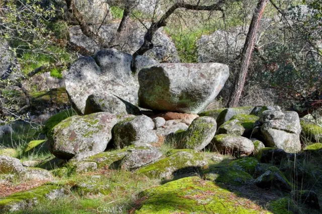 a bunch of flowers and covered with green space