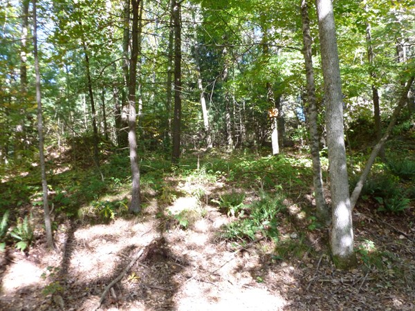 111 Five Bridge Road Brimfield, MA 01010 - Photo 15 of 18 Gallery Image 15