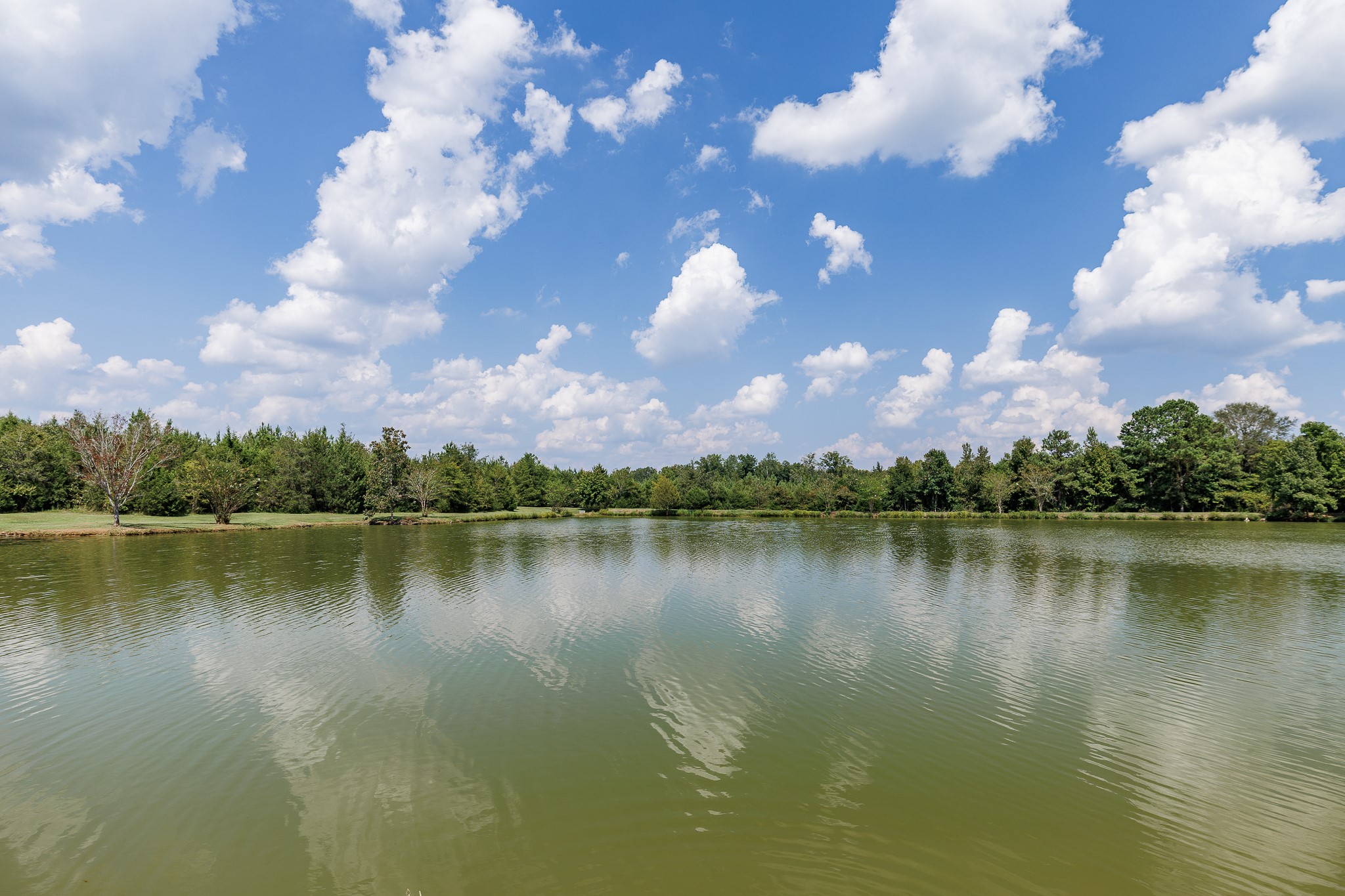 a view of a lake with houses in the background