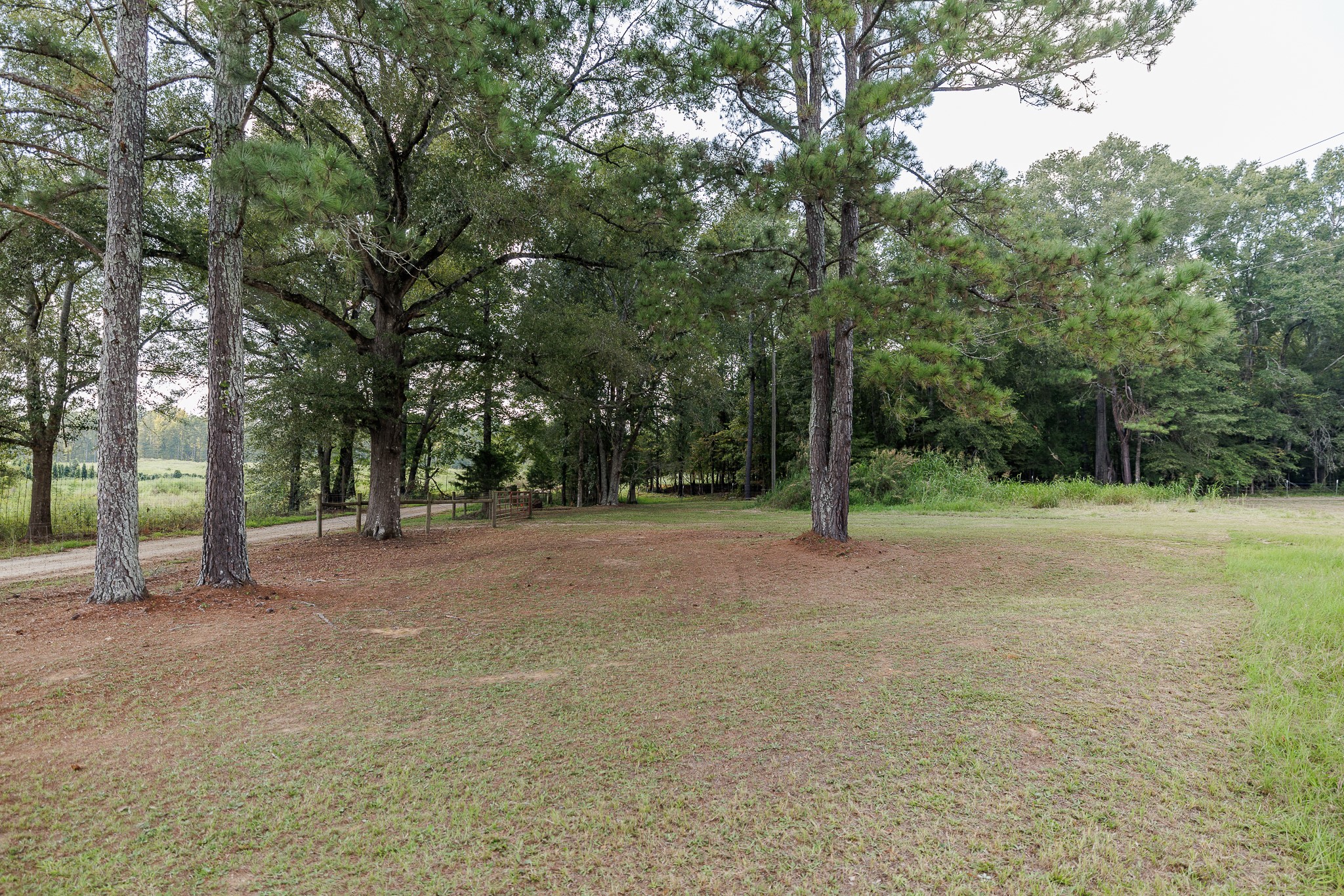 625 Happy Hollow Road Washington, GA 30673 - Photo 47 of 50 a view of a field with trees in the background