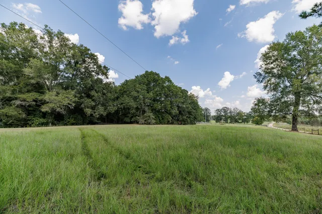 a view of a garden with an outdoor space