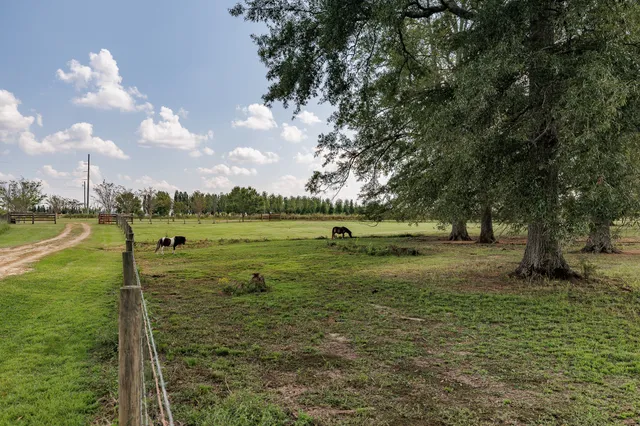 a view of a lake in middle of forest