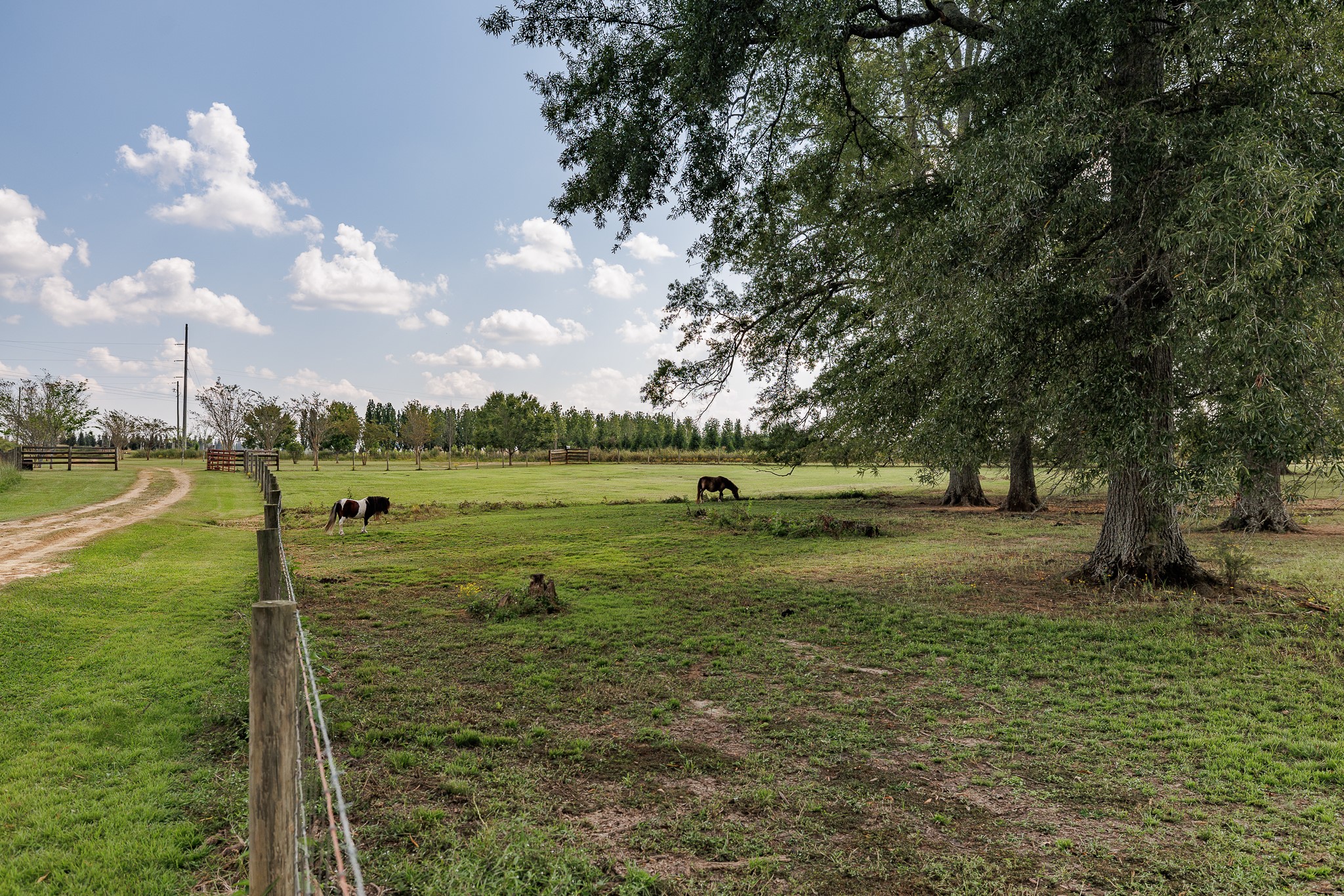 625 Happy Hollow Road Washington, GA 30673 - Photo 49 of 50 a view of a garden with an outdoor space