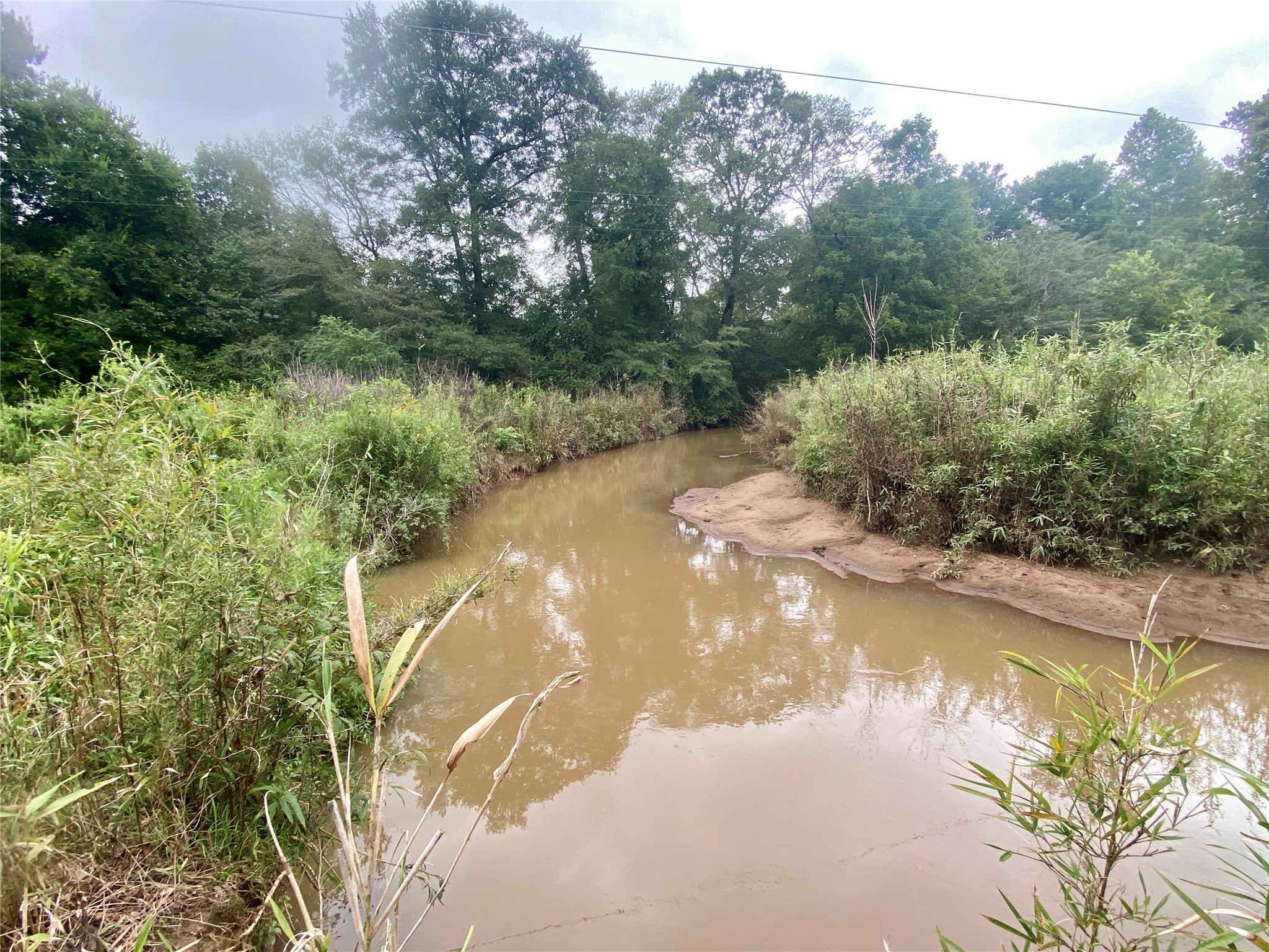 625 Happy Hollow Road Washington, GA 30673 - Photo 50 of 50 a view of a lake in middle of forest
