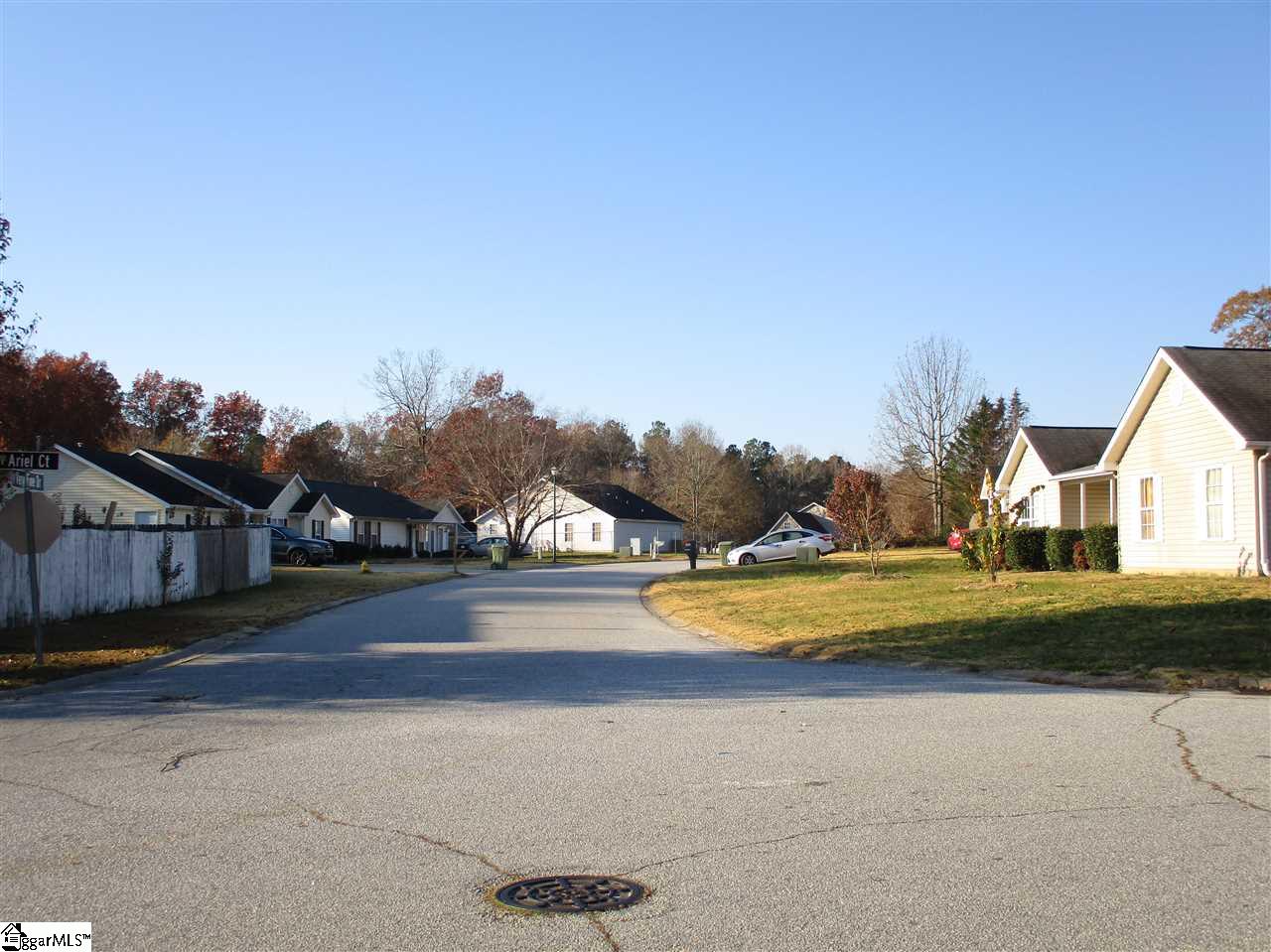 306 Ariel Court Fountain Inn, SC 29644 - Photo 11 of 22