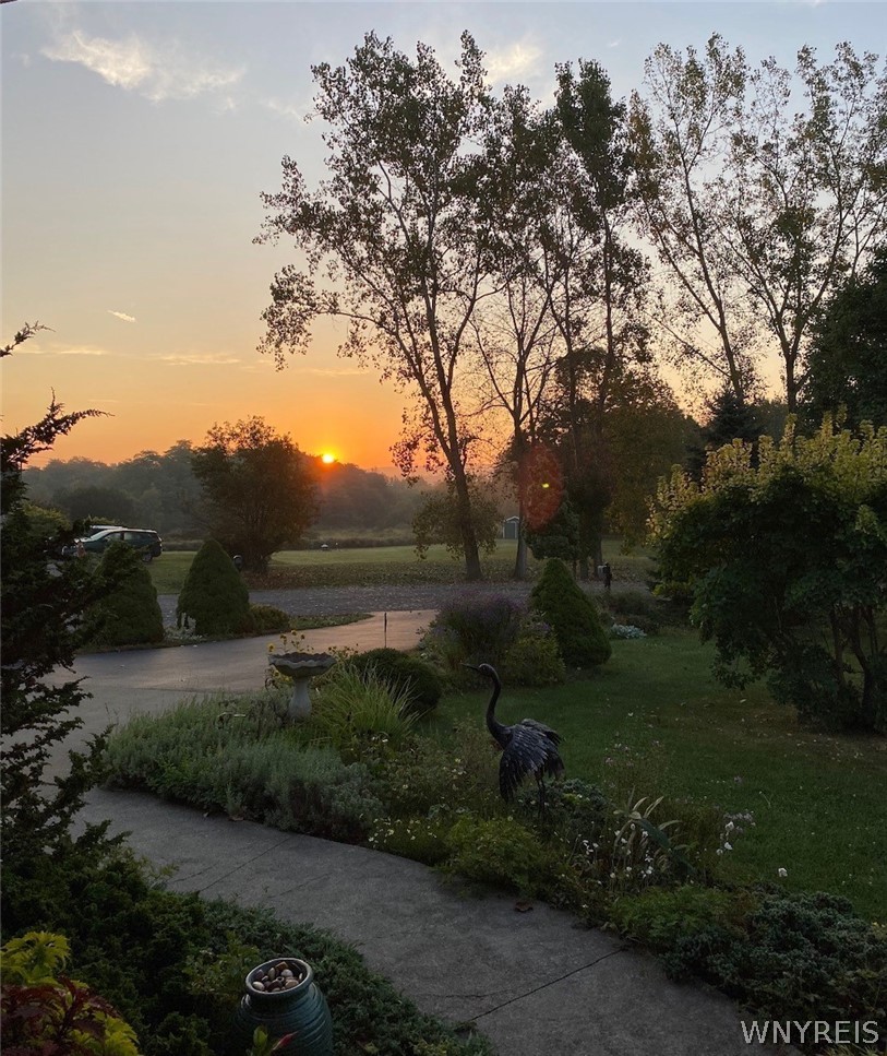 70 Colony Run Alexander, NY 14011 - Photo 41 of 46