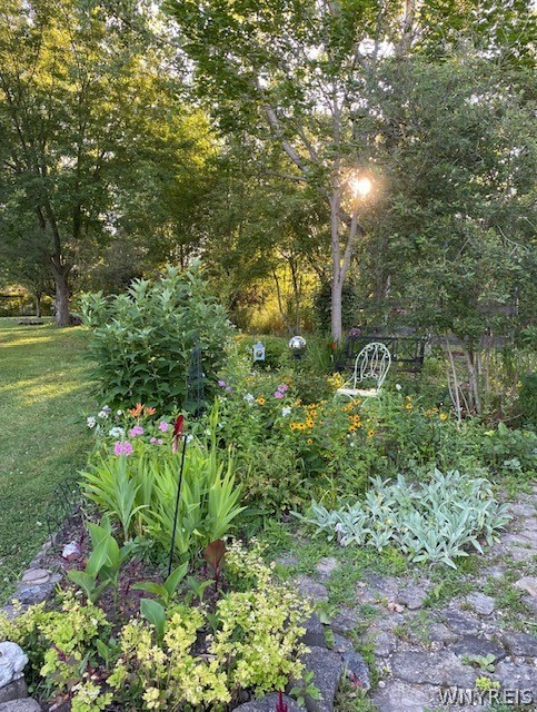 70 Colony Run Alexander, NY 14011 - Photo 42 of 46