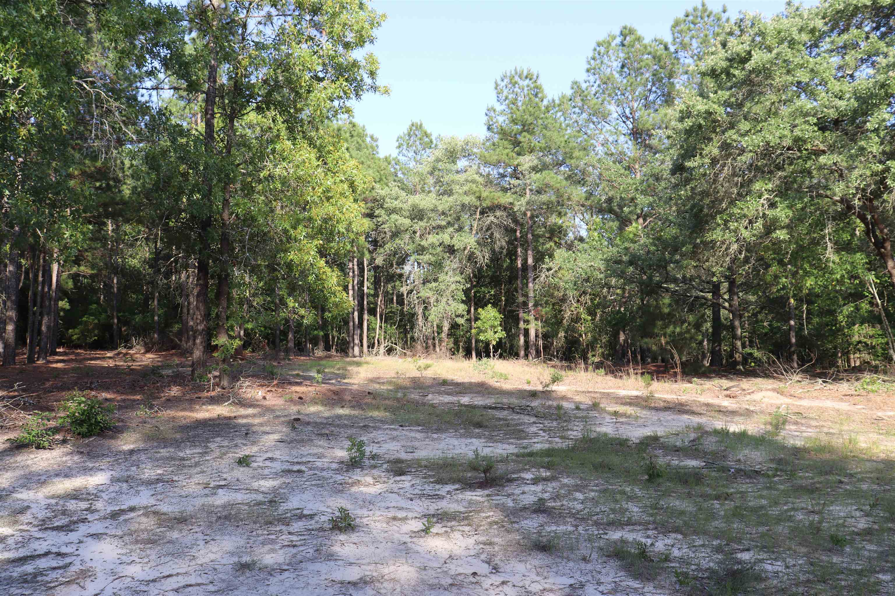 2631 Charlie Johnson Road Bethune, SC 29009 - Photo 27 of 29
