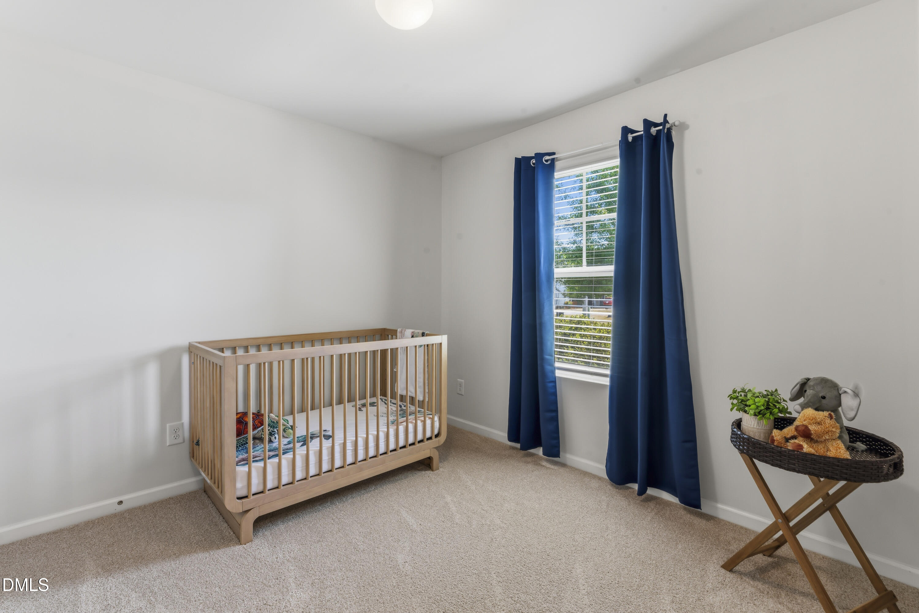 49 Paige Stone Way Angier, NC 27501 - Photo 21 of 56 photos_high_resolution_DSC07557