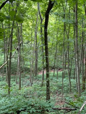 $675,000 | 86-ac County Road S, Gays Mills, WI 54631