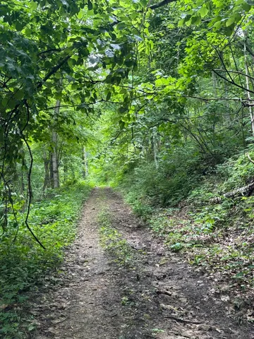 $675,000 | 86-ac County Road S, Gays Mills, WI 54631