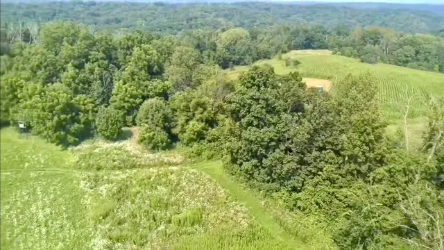$675,000 | 86-ac County Road S, Gays Mills, WI 54631