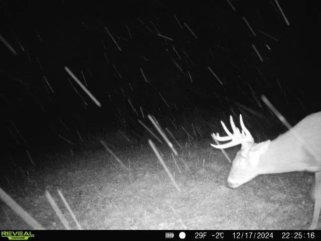 $675,000 | 86-ac County Road S, Gays Mills, WI 54631